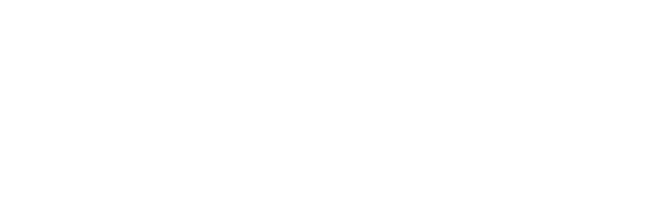 MSO Rulman
